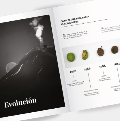 maquetacio cataleg visual printing